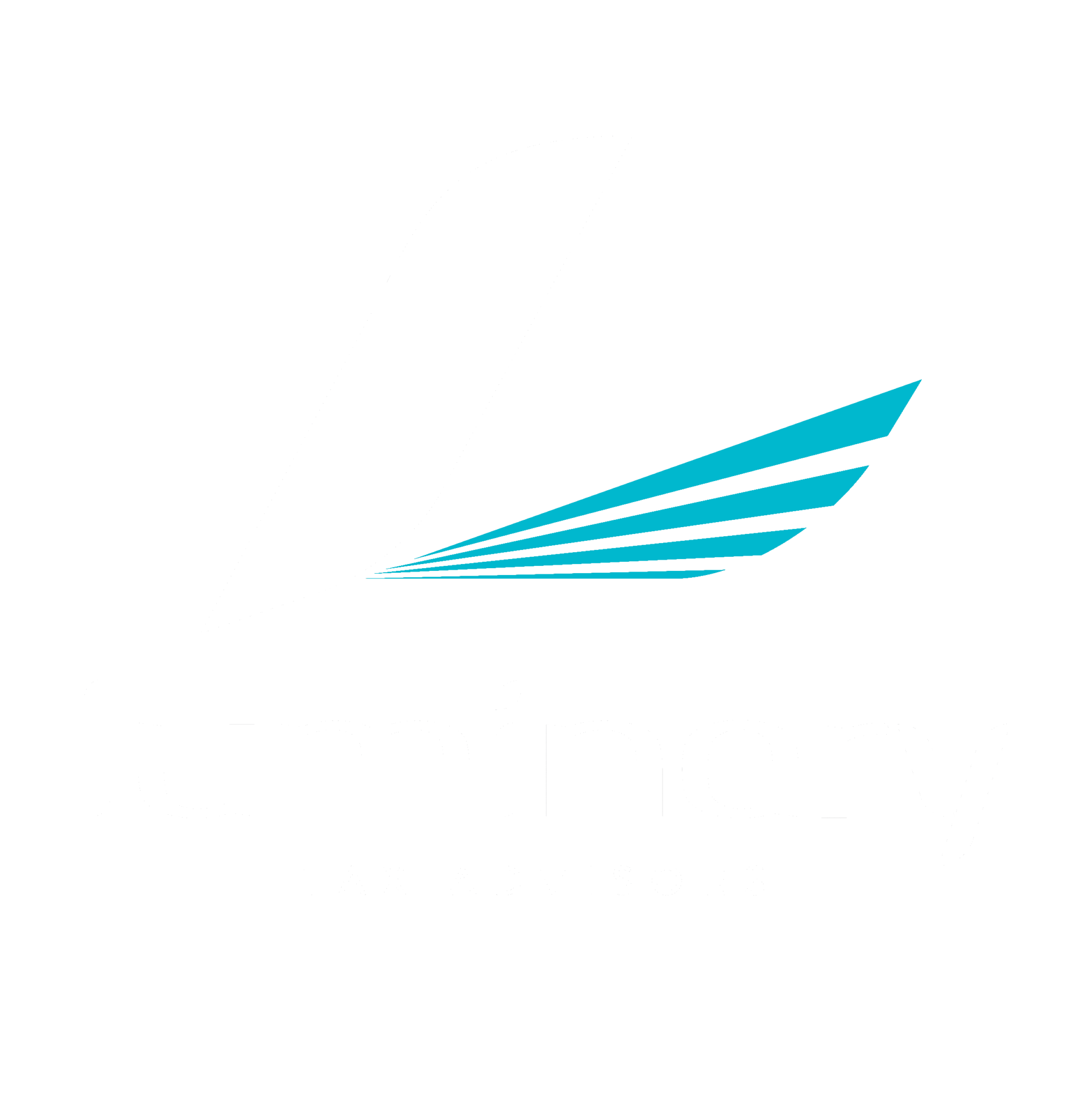 Tax Advising Luminary Tax Advisors tax-advising-luminary-tax-advisors